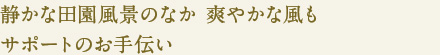 静かな田園風景のなか 爽やかな風も
サポートのお手伝い